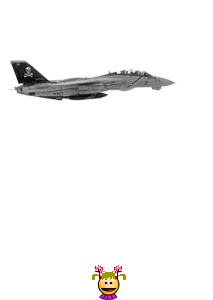 f-14
